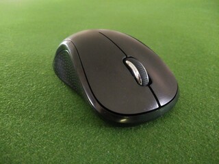 computer mouse on green grass