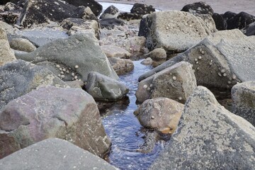 Water flowing between coastal rocks