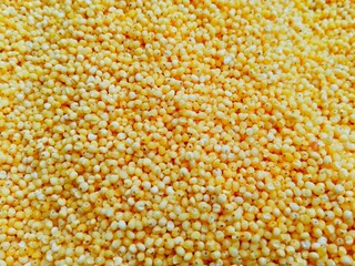 Polished millet texture  background. Cereal millet plant grown in warm countries on poor soils. Dry millet used for flour or porridge - diet gluten free vegan food, traditional russian meal, bird meal