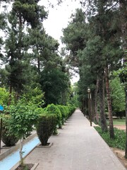 Botanic garden kashan