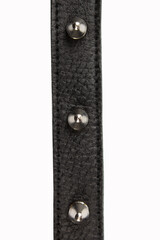 Selective focus black belt with spikes on a white background, close up with no shadows. Black belt...