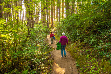 Obraz premium Hikers on a trail at Oswald West State Park. It is part of the Oregon state park system and is located about 10 miles south of the city of Cannon Beach, on the Pacific Ocean