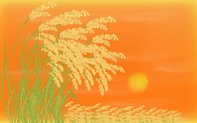 Fototapeta na wymiar 収穫を迎えた稲穂と夕陽　秋の背景素材