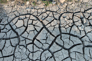 Background texture of cracked earth