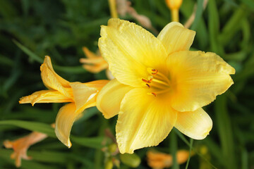 Lilia and her girlfriend discuss the actions of their friends