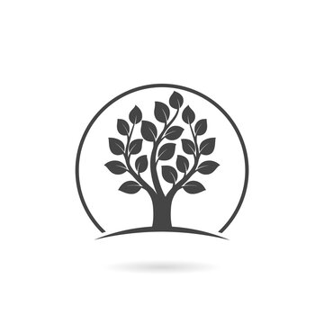 Decorative tree icon. Tree logo with shadow