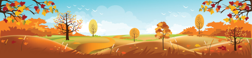 Panoramic of Countryside landscape in autumn, Vector illustration of horizontal banner of autumn landscape mountains and maple trees fallen with yellow foliage,Panorama autumn view in evening with sun