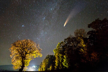 Night landscape with stars covered sky and C/2020 F3 (NEOWISE) comet with light tail. - obrazy, fototapety, plakaty