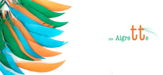 Obraz premium Bright multicoloured bird feather isolated on white background