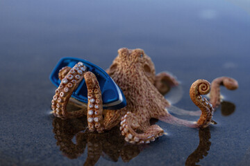 a large toy octopus sits in the water and holds a boat with tentacles