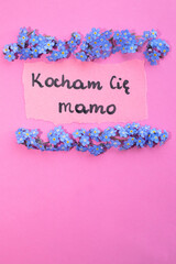 Fototapeta premium Text I love you mom in Polish. 