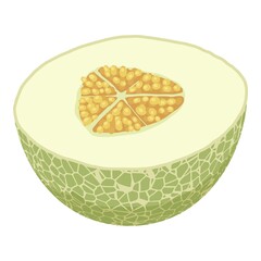 Half fresh melon icon. Isometric of half fresh melon vector icon for web design isolated on white background