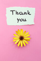 Piece of paper with text  Thank you.