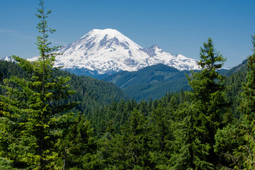 Mount Rainier in Summer