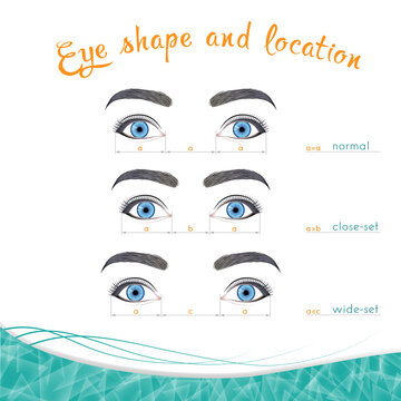 Positions of eyes in width on a white background