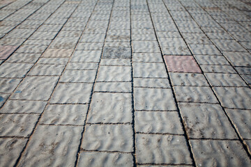 Nested pavers of various colors, around the grass is green, chic garden