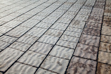 Nested pavers of various colors, around the grass is green, chic garden