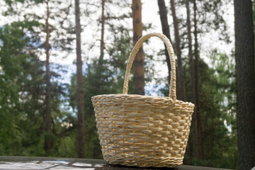 small wicker basket on a forest background