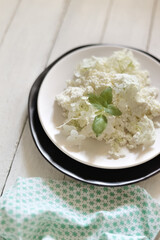 white fresh rustic cottage cheese decorated with a flower sprig in a white plate on a white background.  protein healthy diet eco product