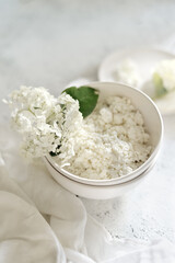 white fresh rustic cottage cheese decorated with a flower sprig in a white plate on a white background.  protein healthy diet eco product