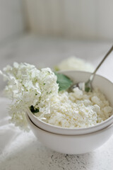 white fresh rustic cottage cheese decorated with a flower sprig in a white plate on a white background.  protein healthy diet eco product