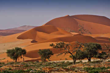 Fototapeta na wymiar Sand dunes at Sossusvlei, Namib-Naukluft Park, Namibia