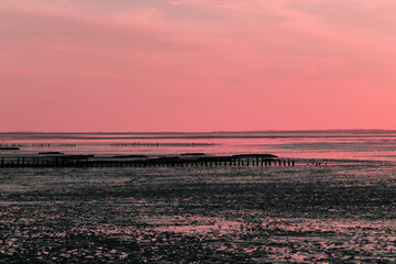 Fototapeta premium Buhnen und auflaufende Flut im Wattenmeer an der Nordseeküste bei Harlesiel in Niedersachsen in der Abenddämmerung - Stockfoto