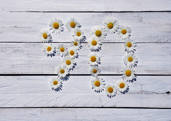 90 Birthday number with chamomile