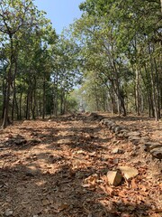 Chemin de forêt vers un temple à Sukhothaï, Thaïlande	