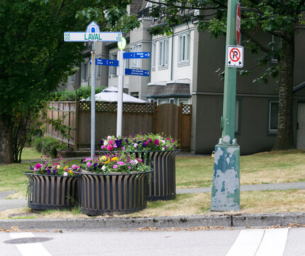 Street Sign With Flower Planters