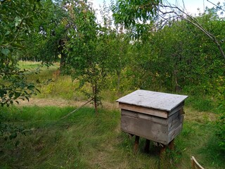 Summer landscape, wooden bee hive in the garden