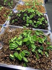 Marché aux insectes à Ayutthaya, Thaïlande