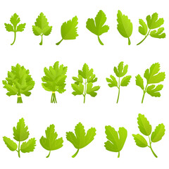Parsley icons set. Cartoon set of parsley vector icons for web design