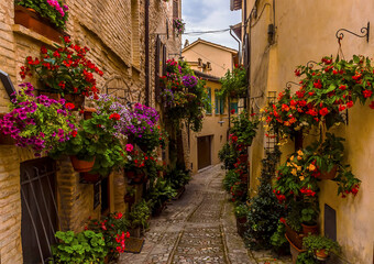 Vibrant flowers adorn a narrow alleyway in the hilltop village of Spello, Umbria in the summertime