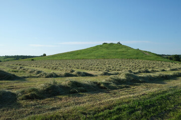 Naklejka premium field with mowed grass against the background of a hill