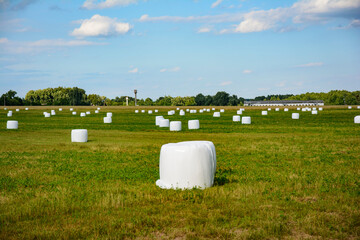 A way to preserve hay quality is animal feed in vacuum packaging.