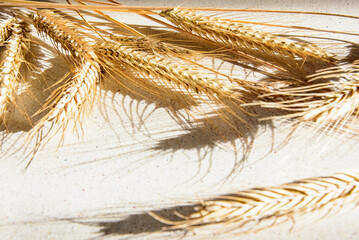 Agrarian still life of wheat ears on the table.