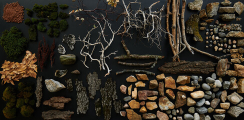 California Sierra Nevada Mountain Forest Floral Overhead Knowling  Still Life with Moss, Branches, Stick, Rocks, Soil, Bark, Leaves Leaf Litter
