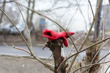 Rubbish on a branch. Red mitten on a tree.