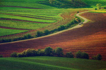 Fototapeta na wymiar Rural landscape with road