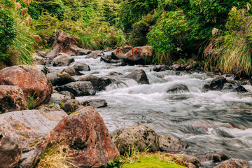 Mountain stream in Tongariro National Park