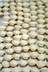 Production of dumplings in the factory, the product on the cutting table