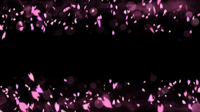 Colorful bright petals swinging in spring background with sun flares. Beautiful nature scene. Illustration cherry blossom petals. Abstract spring graphic. Loop animation.