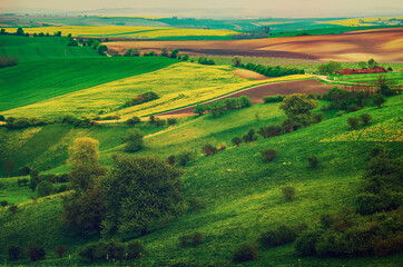 Rural spring landscape