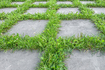 abstract background of tiled walkway in the park with grass punching between the joints close up