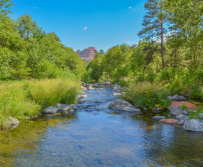 Fototapeta premium Beautiful view of Oak Creek a freshwater spring in the Oak Creek Canyon of Coconino National Forest. Sedona, Arizona