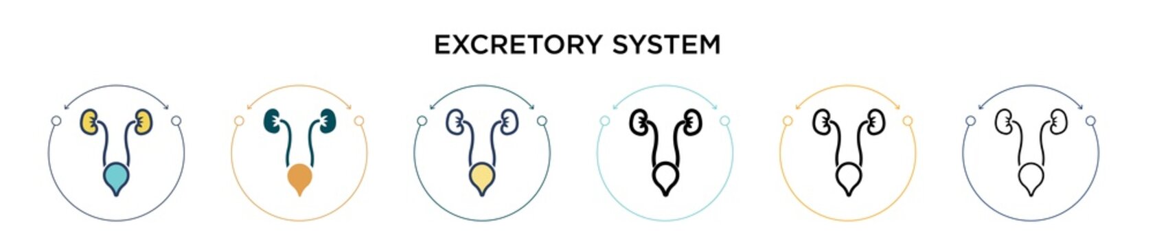 Excretory system icon in filled, thin line, outline and stroke style. Vector illustration of two colored and black excretory system vector icons designs can be used for mobile, ui, web