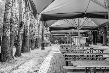 Empty tables of a summer cafe in the park