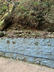 Singe des grottes de Batu à Kuala Lumpur, Malaisie	