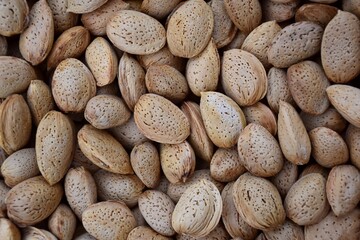 Fototapeta na wymiar Dried almonds in shell piled.